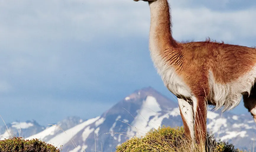 board game Ruta Austral Patagonia Chile